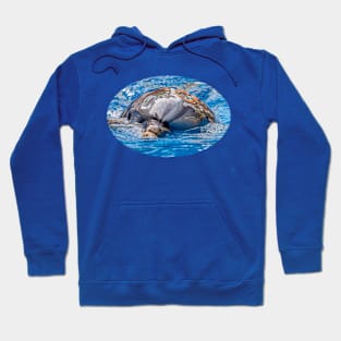 Dolphin Hoodie